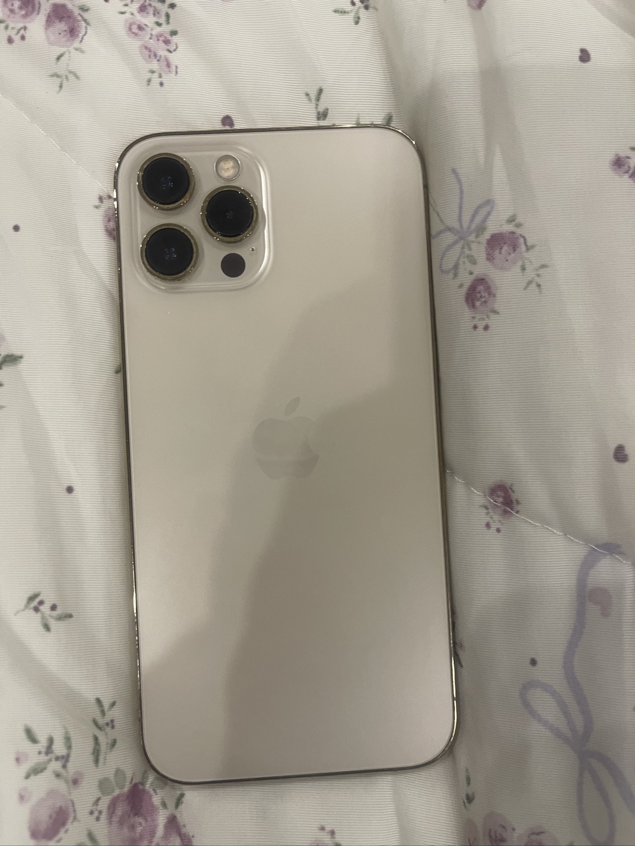 Apple 12 pro max