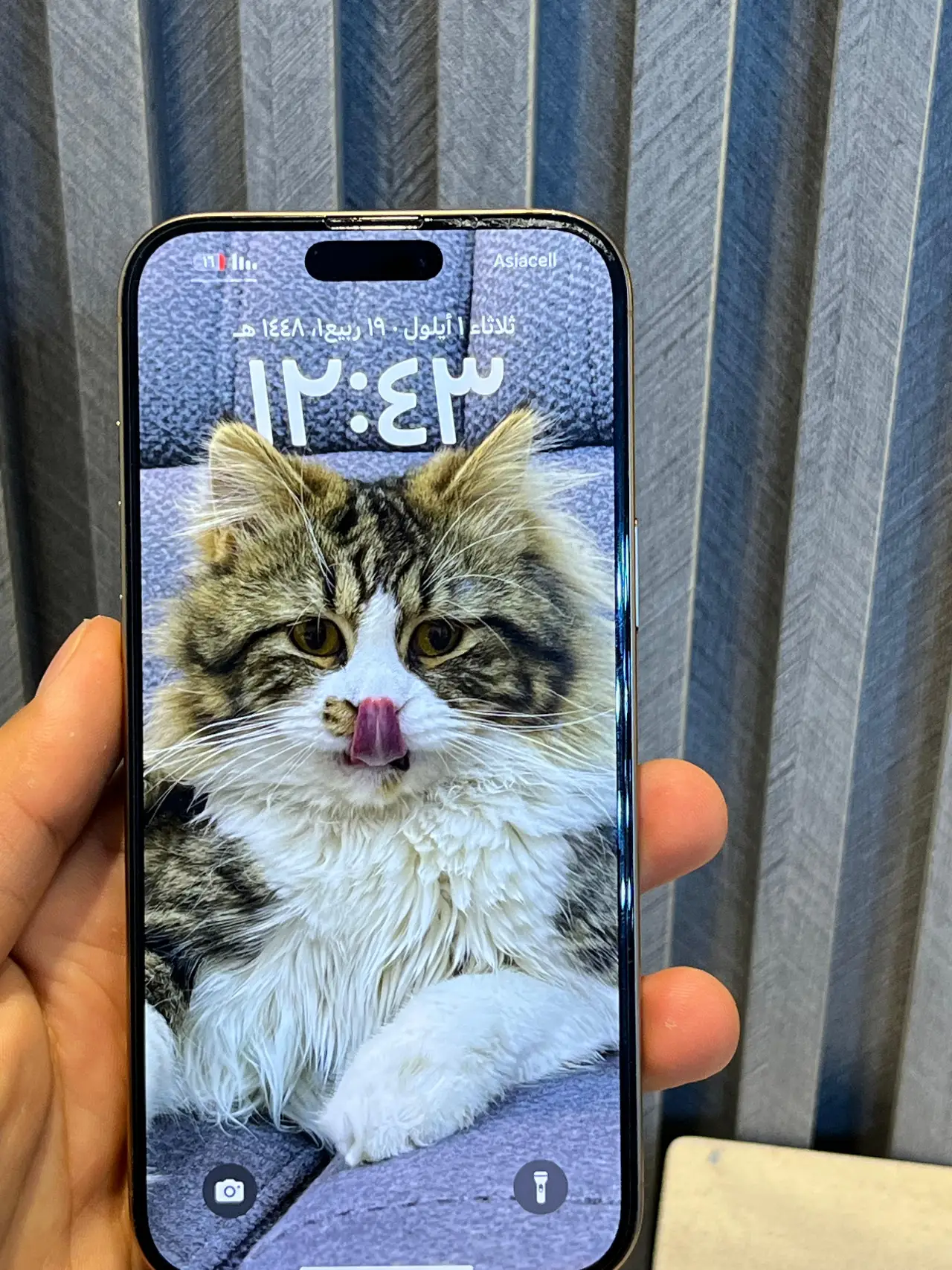 Apple iPhone 16 Pro Max — 1,450,000 د.ع