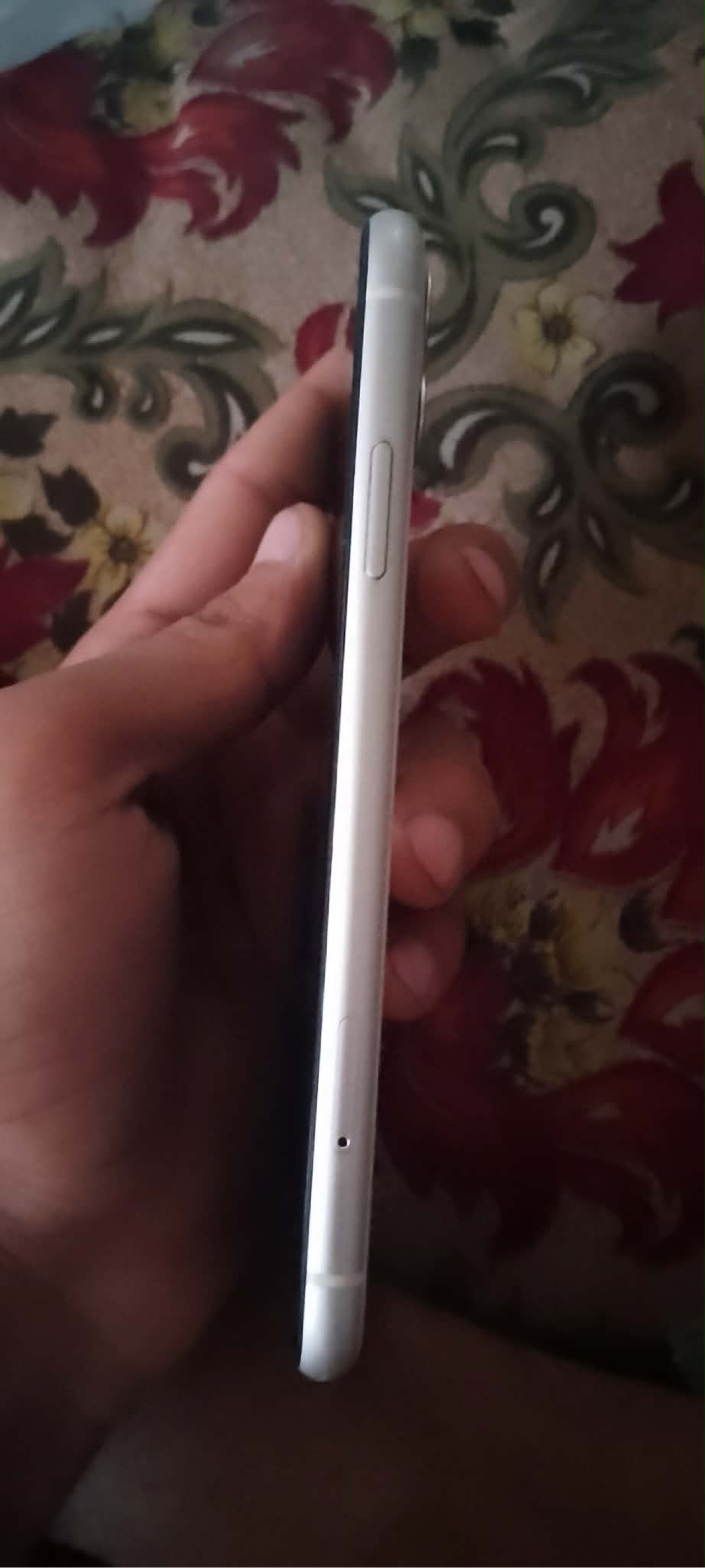 Apple iPhone 11 — 290,000 د.ع