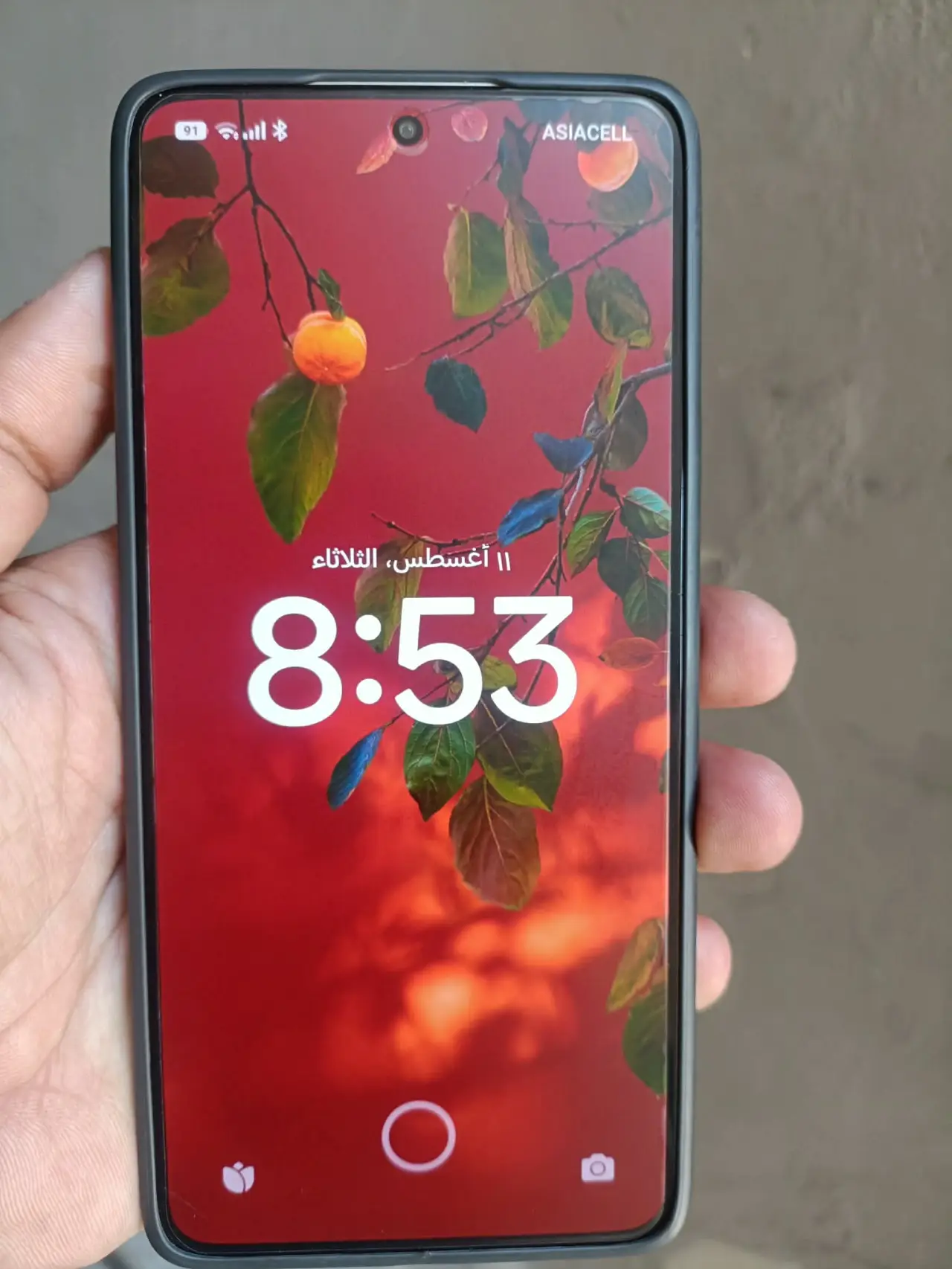 Xiaomi 14T Pro