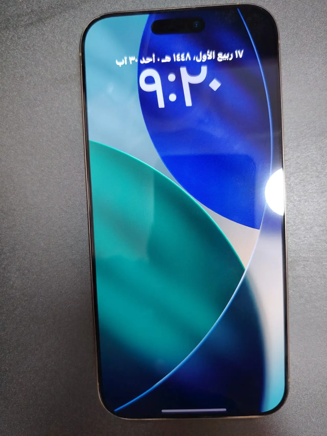 Apple iPhone 16 Pro Max
