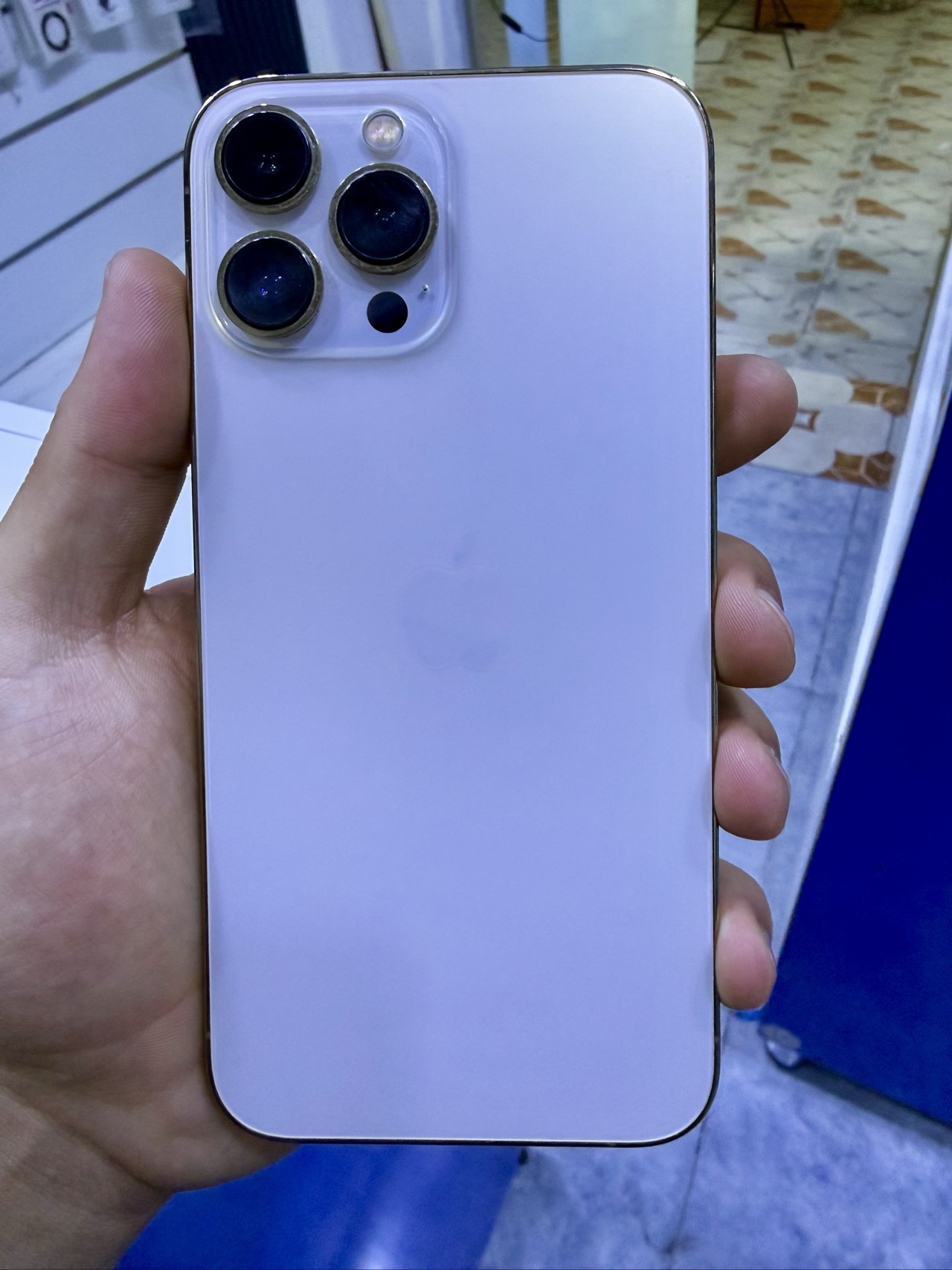 Apple iPhone 13 Pro Max