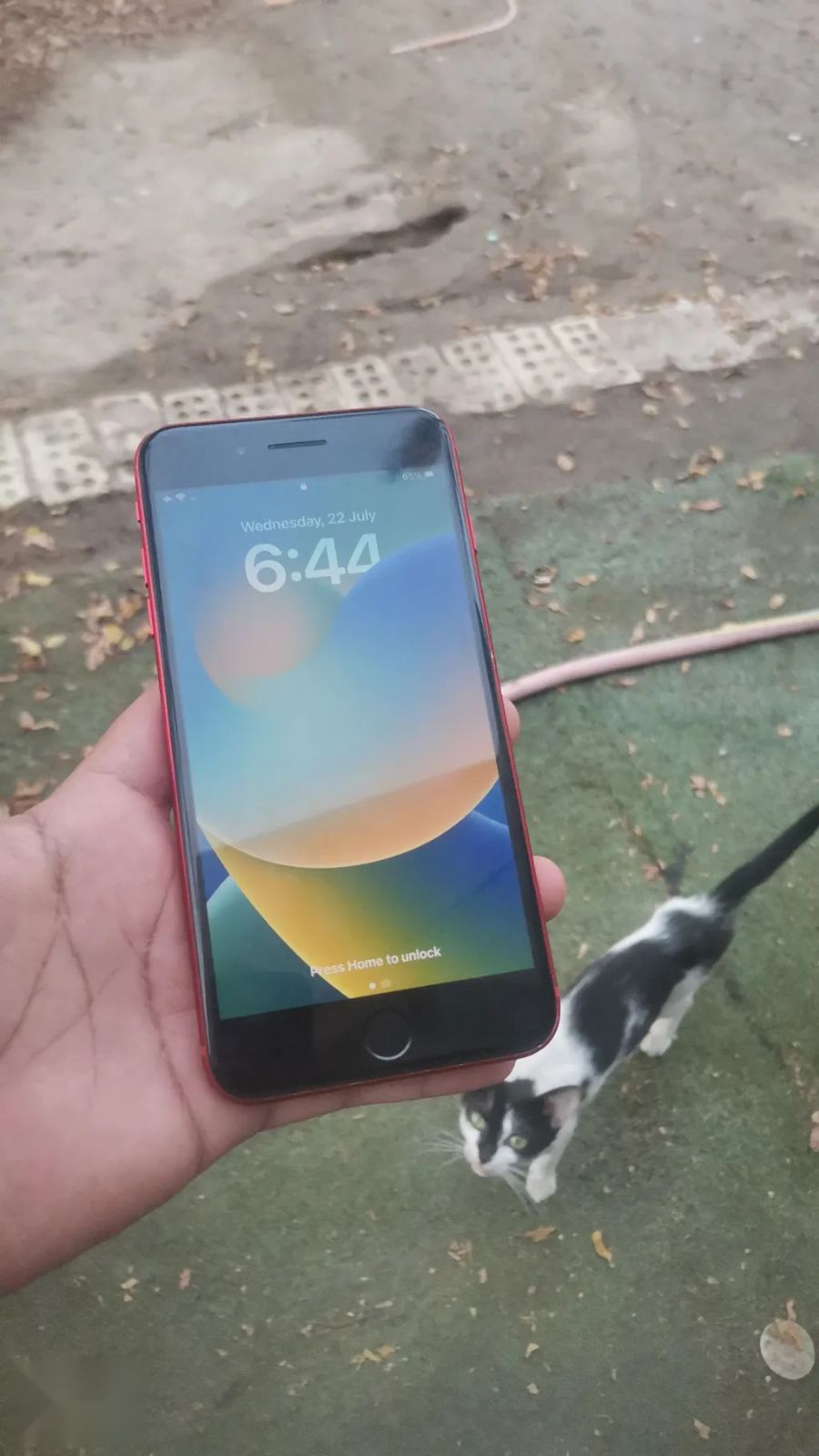 Apple iPhone 8 Plus battery charge
