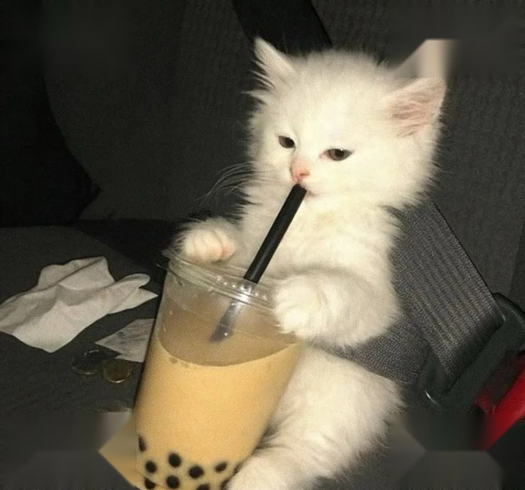 Apple iPhone 13 Pro Max — 470,000 د.ع