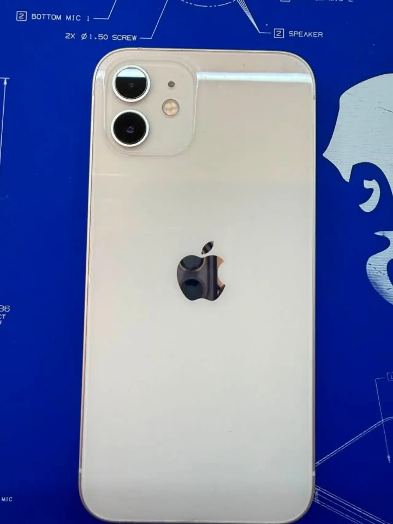 Apple iphon 12