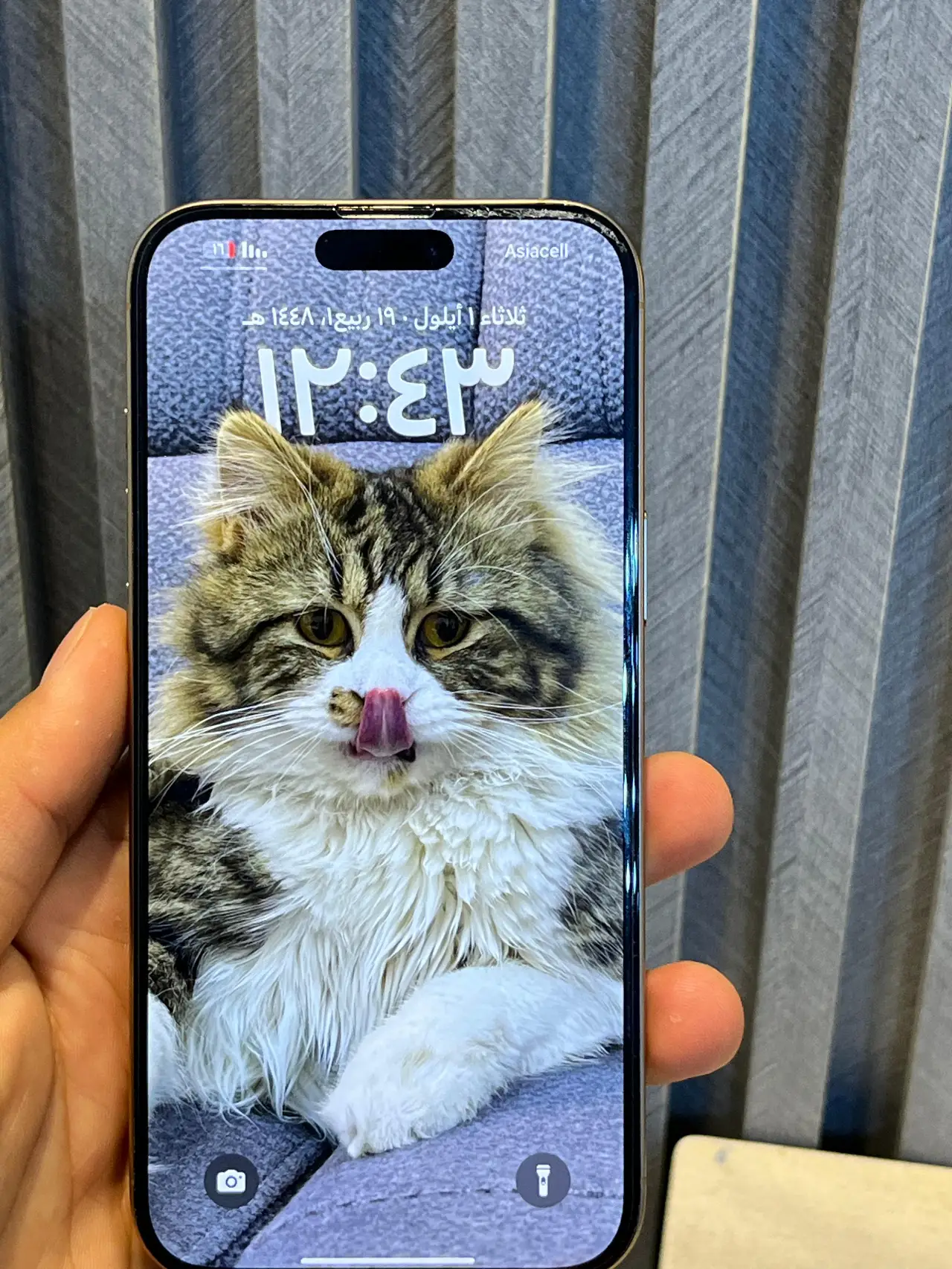 Apple iPhone 16 Pro Max — 1,450,000 د.ع